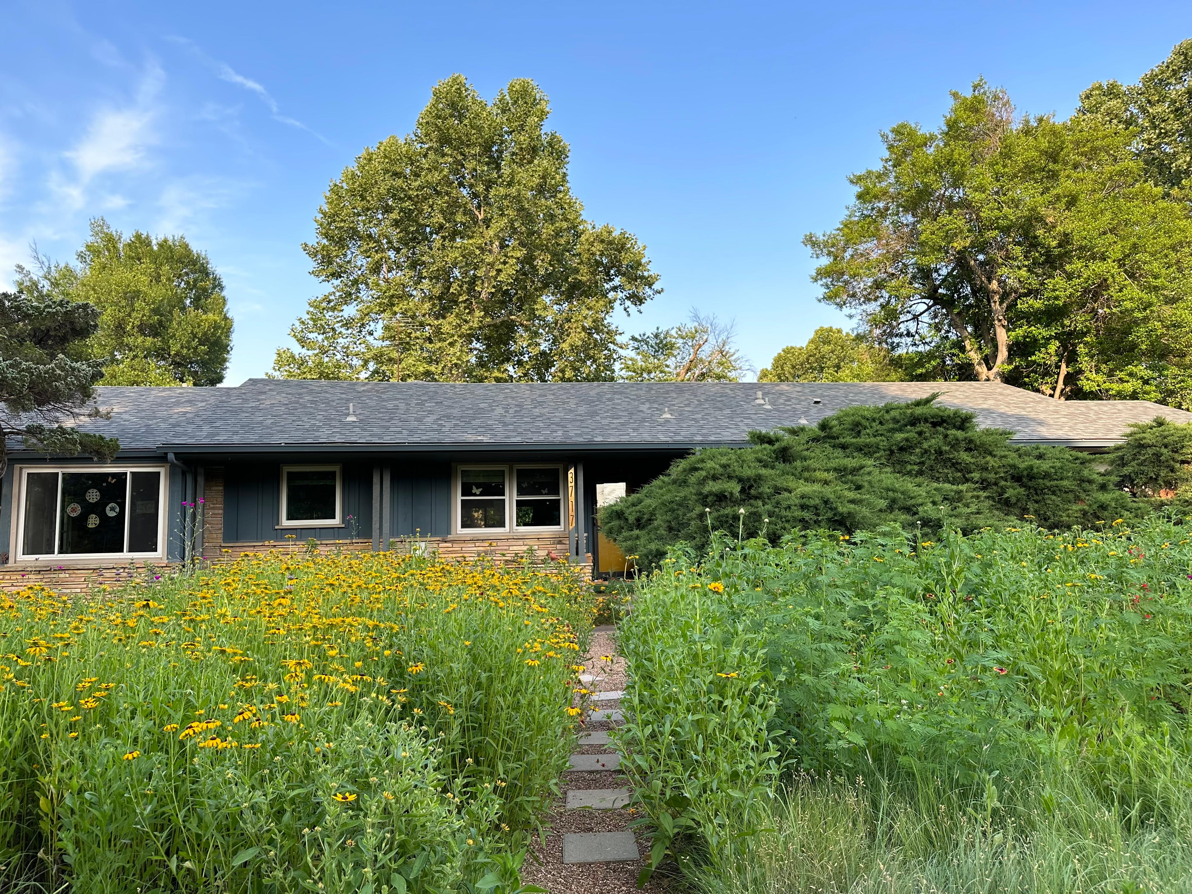 Path through meadow garden to front door