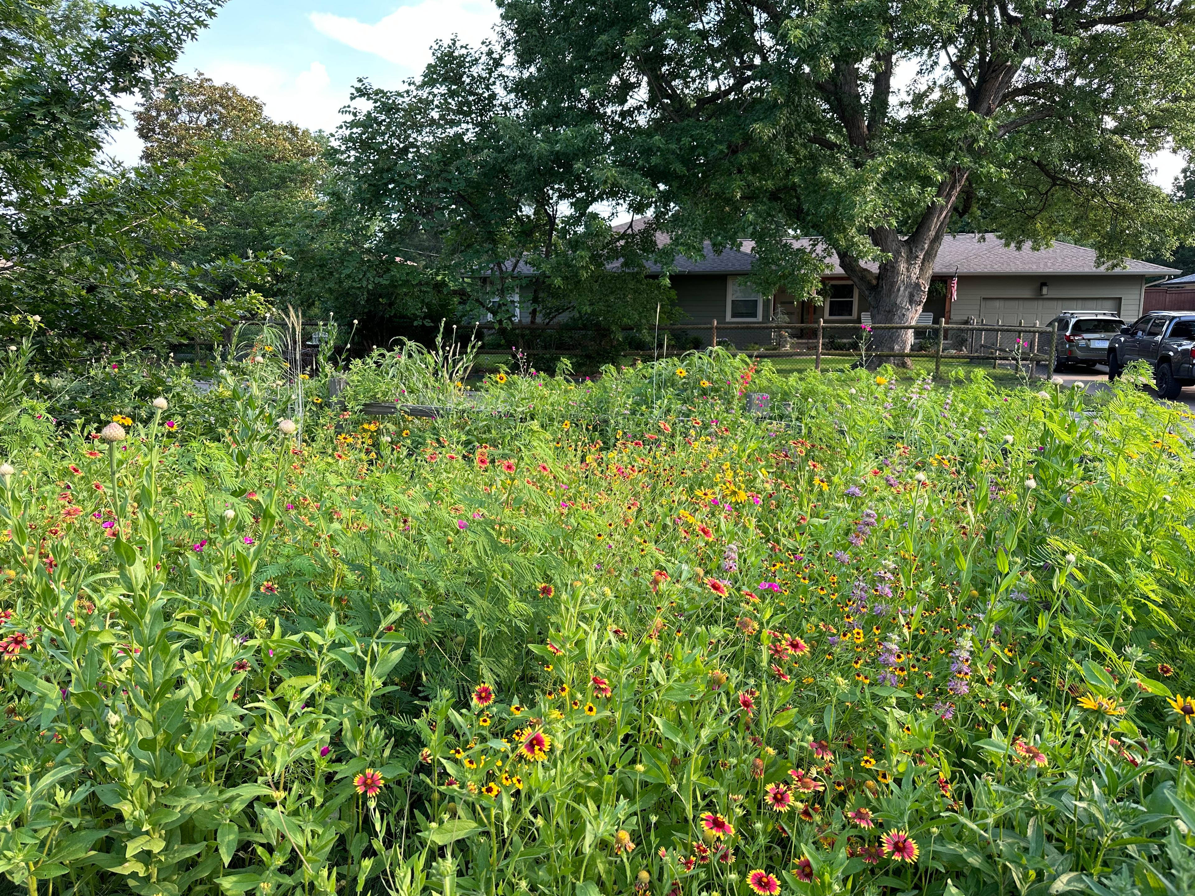 Meadow garden bed